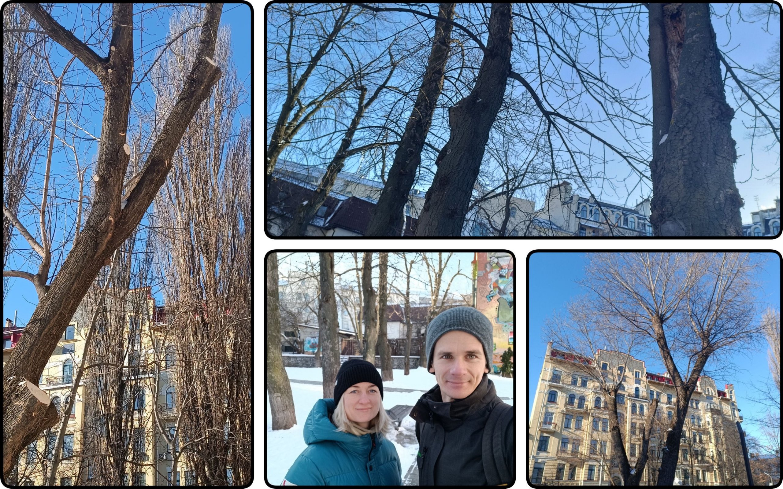 Фото – Киевляне спасли от уничтожения старые деревья в сквере интеллигентов