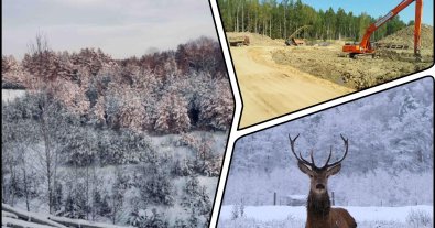 Photo – Permit for sand mining in a zoological reserve issued in Volyn