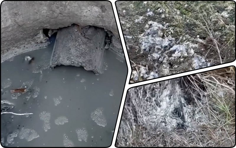 Под Харьковом канализационные стоки загрязняют реку: активисты прочат экобедствие