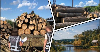 Photo – Two foresters and a Lviv resident accused of large-scale deforestation in a national park
