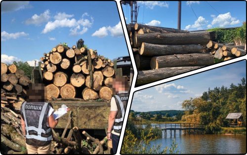 Two foresters and a Lviv resident accused of large-scale deforestation in a national park