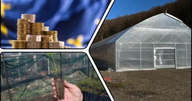Photo – Transcarpathian builders accused of misappropriating UAH 3 million of EU forestry grants