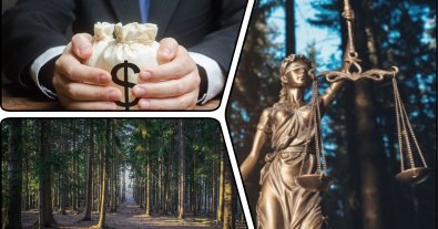 Photo – Director of the Southern Forestry Office to be tried for fraud worth UAH 15 million in his previous position