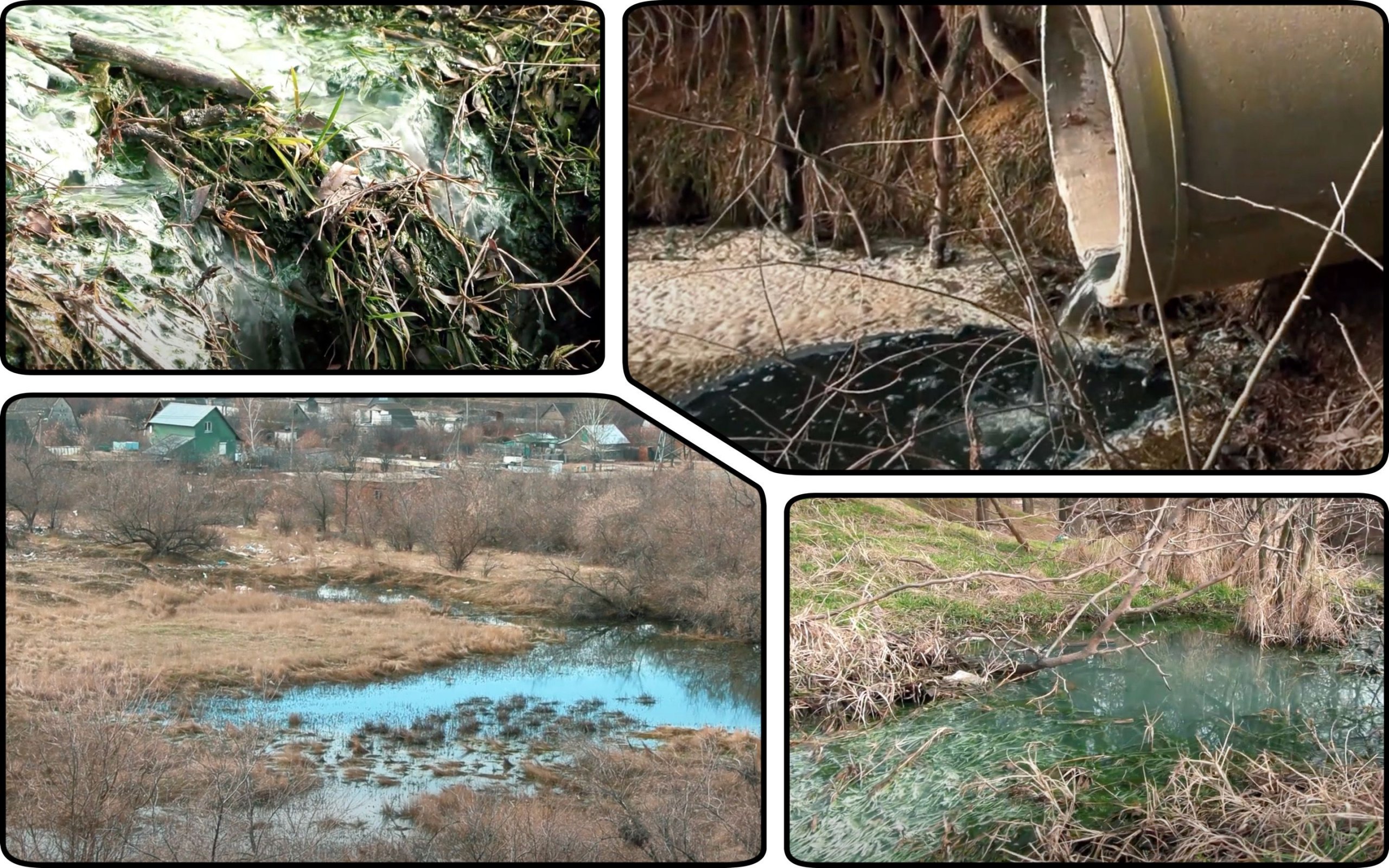 Photo – Lake of green liquid with a pungent odor flows near a garden cooperative in Odesa region