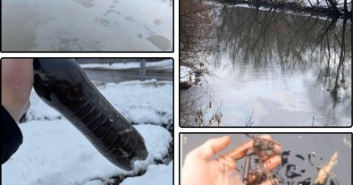 Фото – У річки Харкова потрапило 3 000 тонн палива через обстріл: влада відреагувала через 4 дні