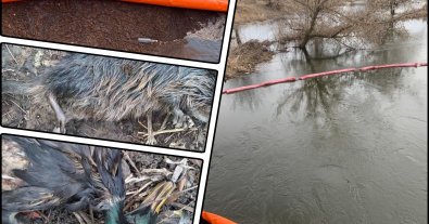 Фото – У Харкові почали довгоочікувану очистку річок від розливу нафти – екоактивіст