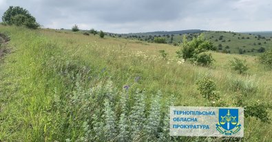 Фото – На Тернопільщині фермерам незаконно передали в оренду 7 гектарів заповідного степу