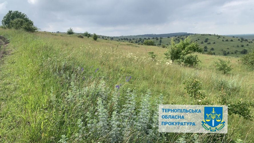7 hectares of protected steppe were illegally leased to farmers in Ternopil region