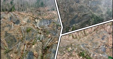 Фото – На Закарпатті стався зсув 11 гектарів ґрунту, який знищив тисячі дерев
