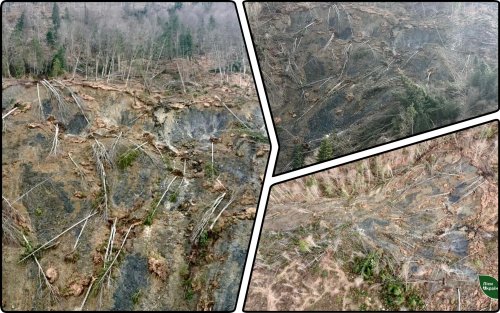 На Закарпатье произошел оползень 11 гектаров почвы, который уничтожил тысячи деревьев