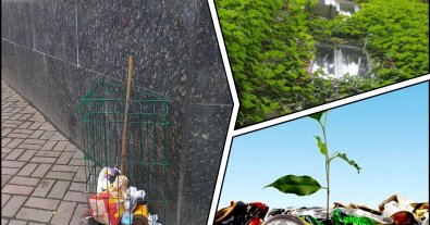 Фото – Кияни перетворили клумбу для вертикального озеленення на смітник