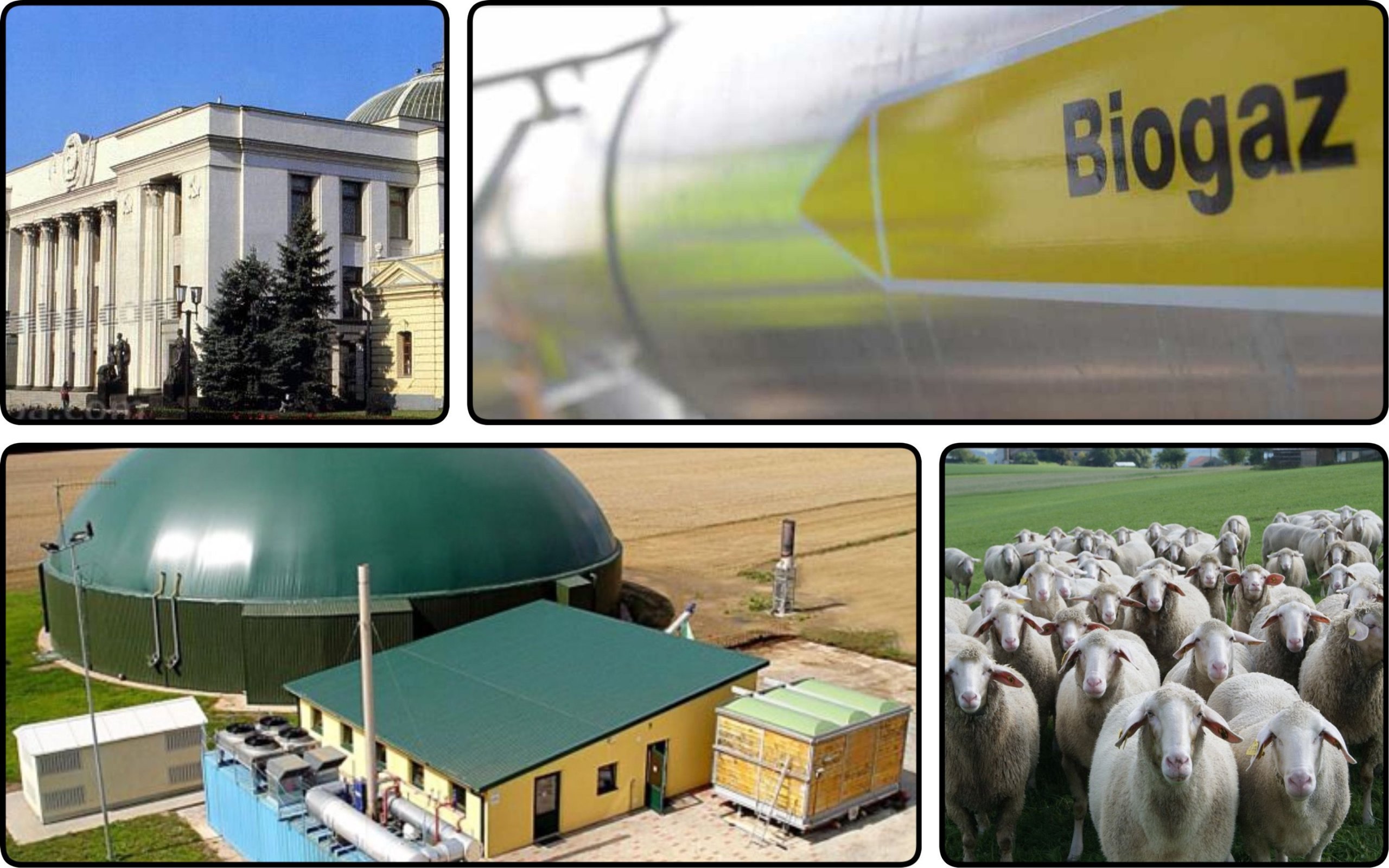 Photo – Verkhovna Rada has taken the first step towards unblocking biomethane exports