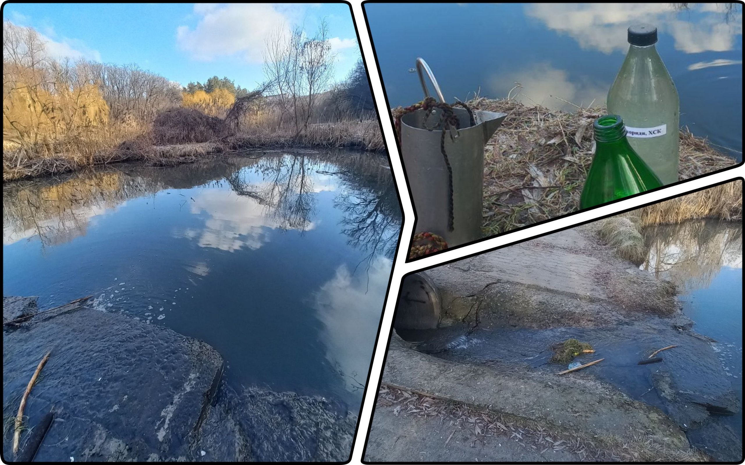 Photo – Kyiv reveals pollution of lakes in Holosiivskyi National Park