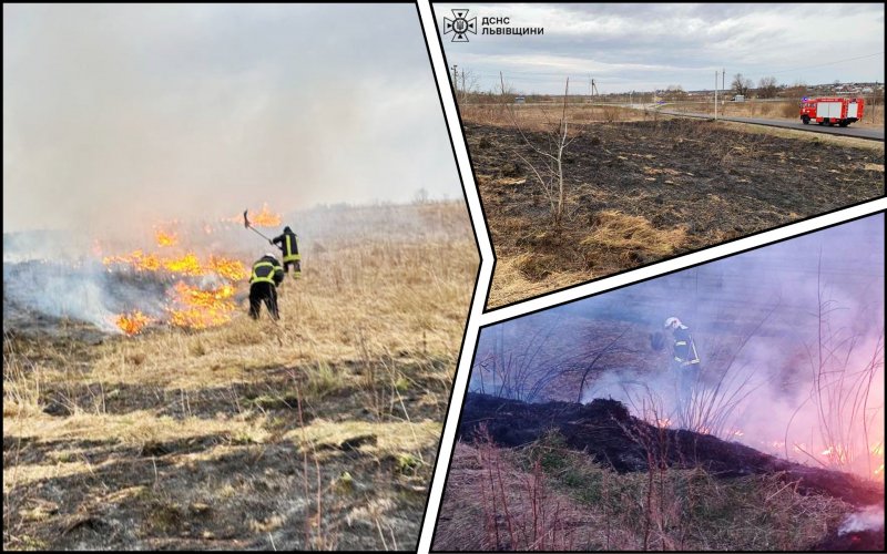 На Львовщине начался сезон сжигания сухостоя: за день потушили 10 пожаров