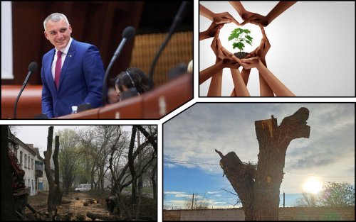 От мэра Николаева требуют остановить варварскую обрезку деревьев "под ствол"