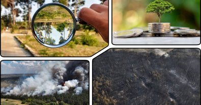 Photo – EIA procedure in Ukraine does not work, and forestry enterprises spend millions on its implementation, – the State Forestry Agency
