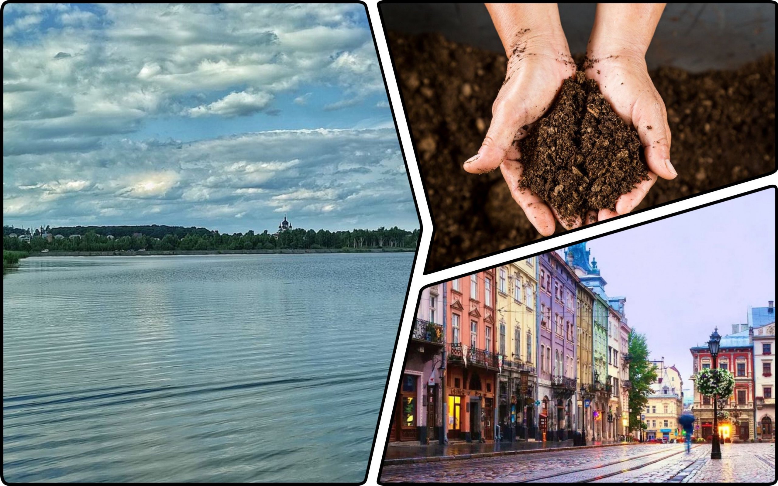 Photo – Lviv deputies demand to prevent peat extraction from Gamaliyivka reservoir