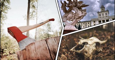 Фото – Под Хмельницким начали уничтожать лес на месте вероятного скотомогильника