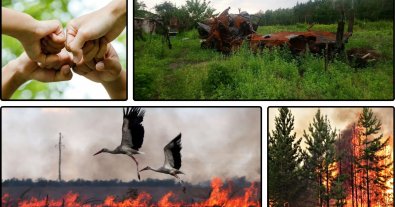 Фото – Для України розробили екологічний договір: основні положення
