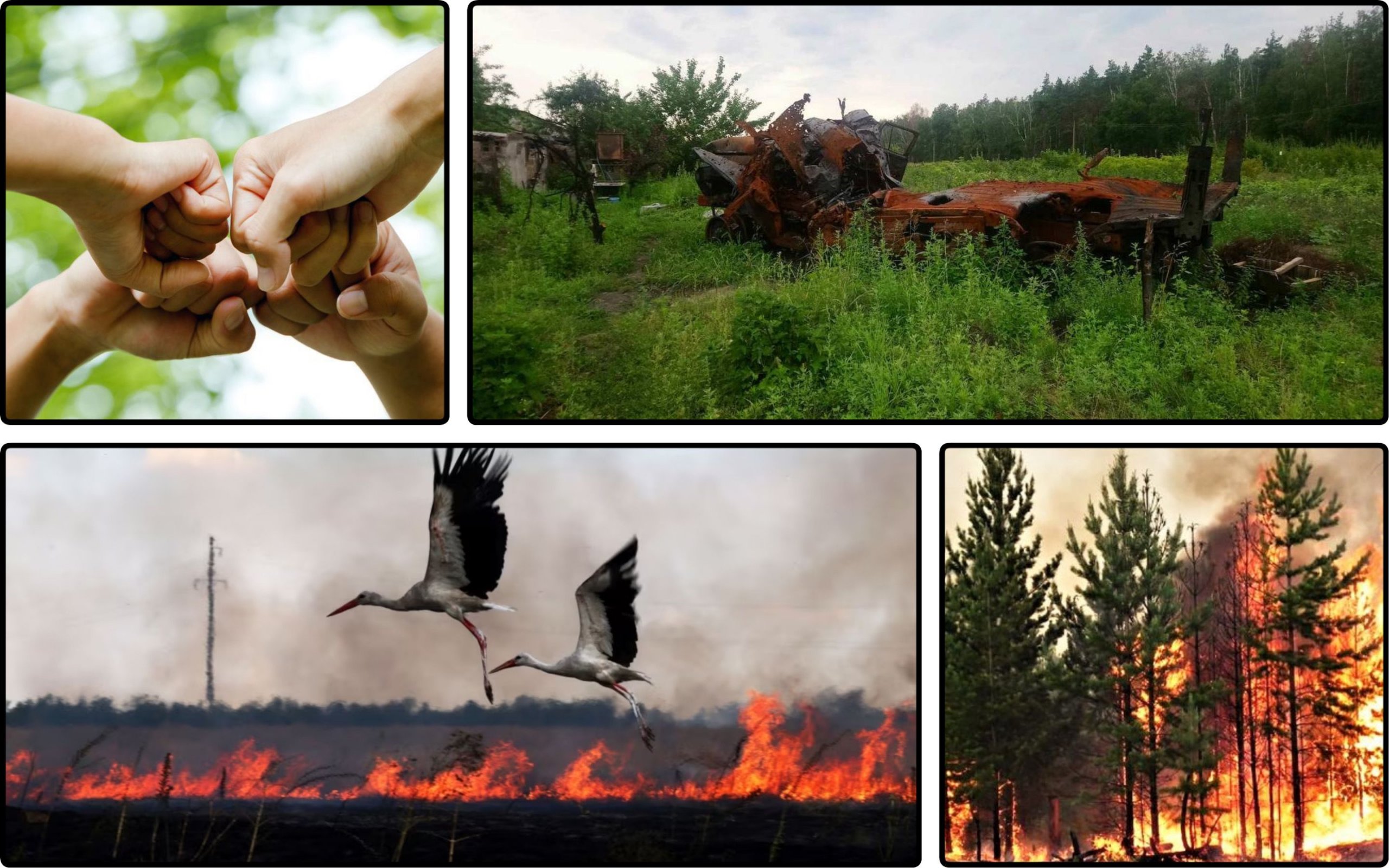 Фото – Для України розробили екологічний договір: основні положення