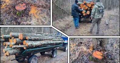 Фото – На Житомирщині прикордонники затримали трактор з нелегальною деревиною
