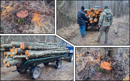 На Житомирщині прикордонники затримали трактор з нелегальною деревиною