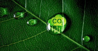 Фото – Переходный этап CBAM: первые проблемы и необходимые решения