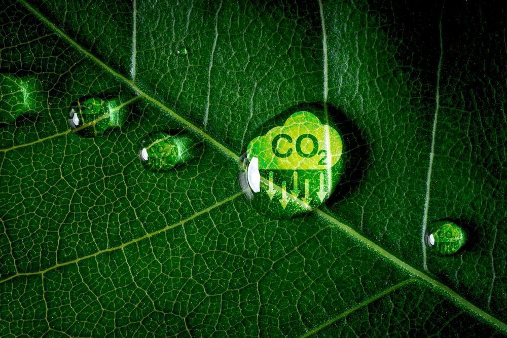 Photo – A bill on carbon emissions similar to the European CBAM was introduced in the US Congress
