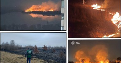 Фото – У Києві пожежа в екопарку “Осокорки” знищила 7% заплави