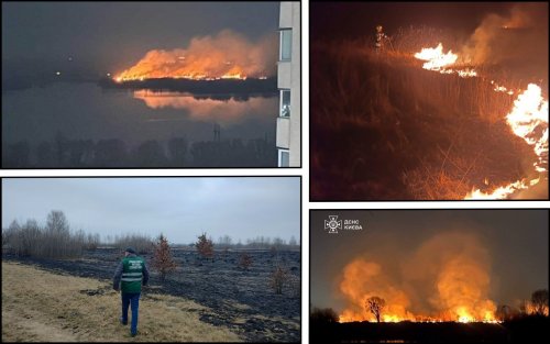 У Києві пожежа в екопарку “Осокорки” знищила 7% заплави