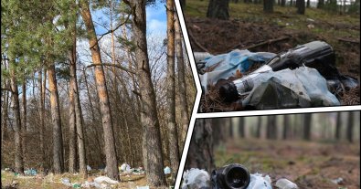 Фото – В лісах двох областей України виявили 300 стихійних звалищ