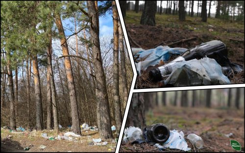 300 illegal landfills found in forests of two regions of Ukraine