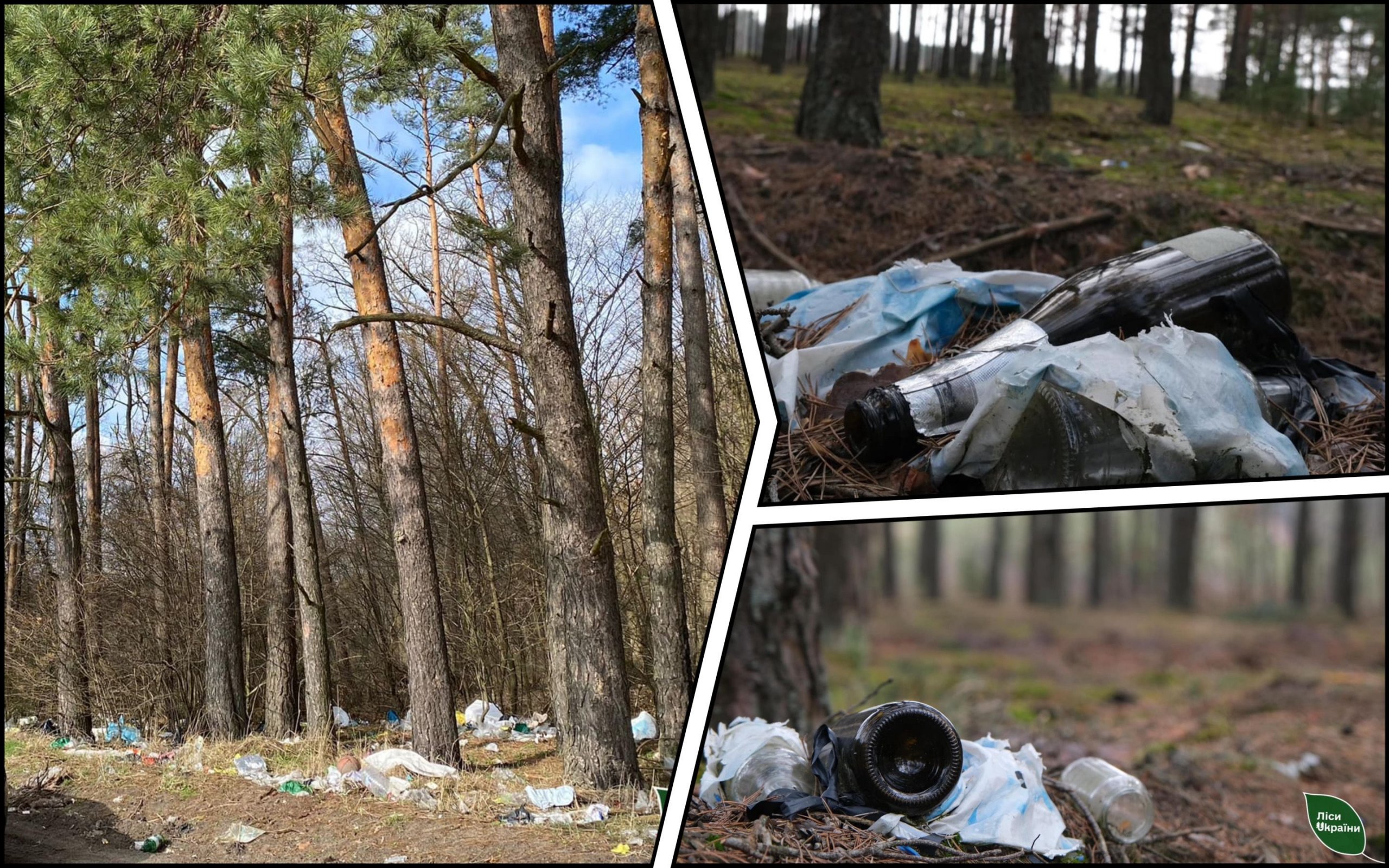 Photo – 300 illegal landfills found in forests of two regions of Ukraine