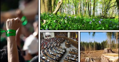 Photo – First quarter of the year: what the Ministry of Environment has done to reform the environmental sector