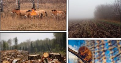 Фото – Срубленные деревья и новые поля: результаты первой проверки Чернобыльской зоны