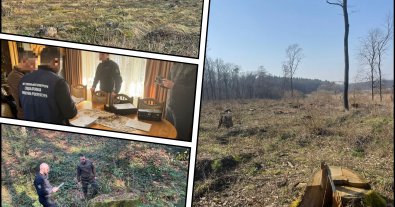 Photo – Eight forestry managers accused of large-scale illegal logging in Lviv region