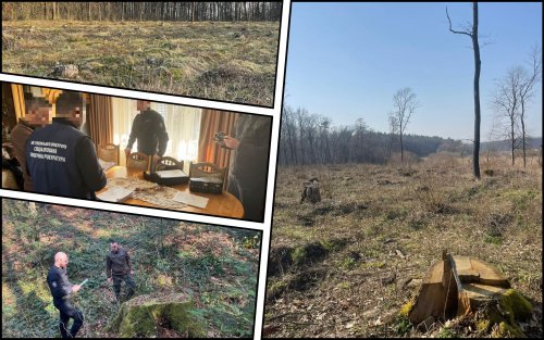 На Львівщині вісьмох керівників лісгоспів звинуватили у масштабних незаконних рубках