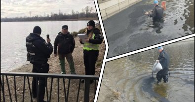 Фото – У Києві в озеро на Оболоні злили нафтопродукти. Фото