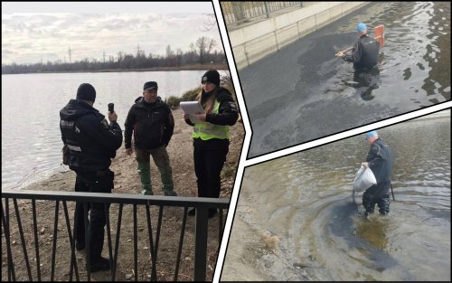 Oil products were dumped into a lake in Obolon. Photo.