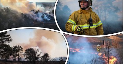 Фото – На Київщині палії сухостою знищили 67 гектарів екосистем за один вікенд
