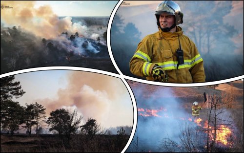 В Киевской области поджигатели сухостоя уничтожили 67 га экосистем за выходные