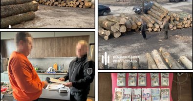Photo – Large-scale forestry scheme worth UAH 11 million uncovered in Sumy region