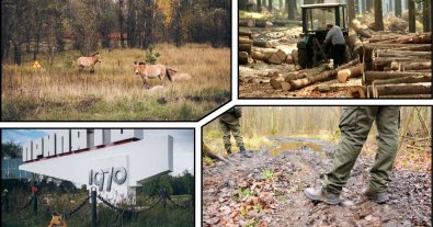 Фото – У Чорнобильскій зоні проводитимуть облави на чорних лісорубів, рибалок та фермерів