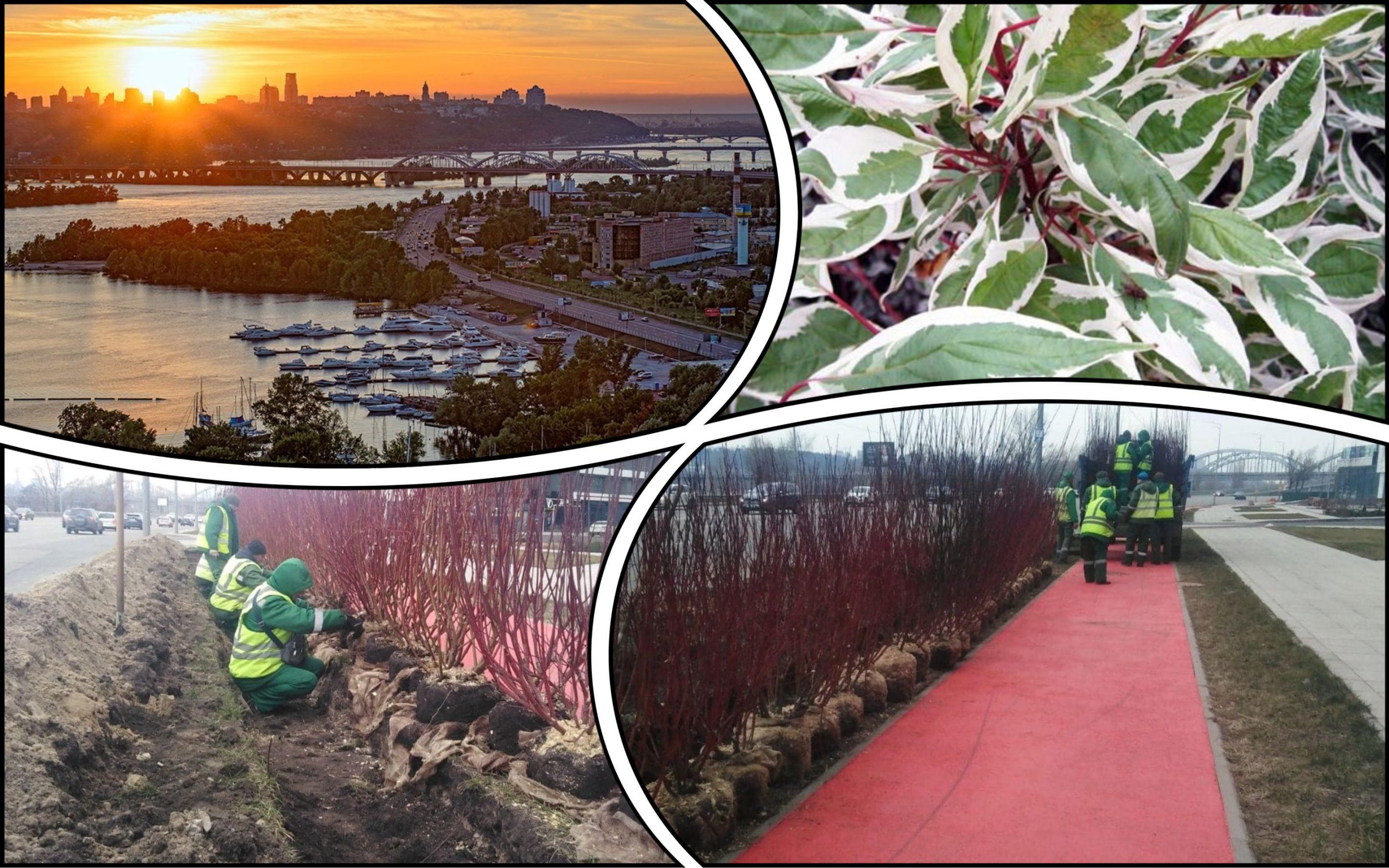 Фото – У Києві на набережній створили “зелений екран” від пилу та шуму