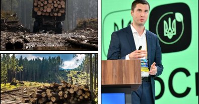 Фото – Голову Держлісагентства звинуватили у приховуванні масштабів незаконних рубок