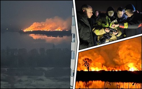 В Киеве загорелся экопарк "Осокорки". Фото и видео с места