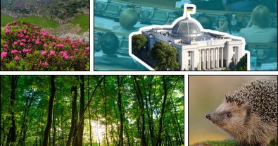 Photo – Strilets boasts of Ukraine's progress in European integration in the environmental sphere: environmentalists are outraged
