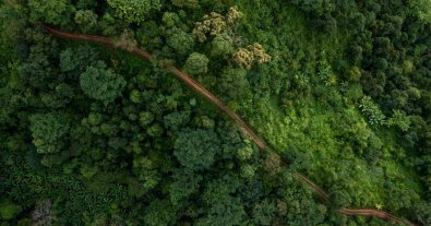 Фото – Франція та Бразилія оголосили про інвестиційний план для Амазонки на 1 млрд євро