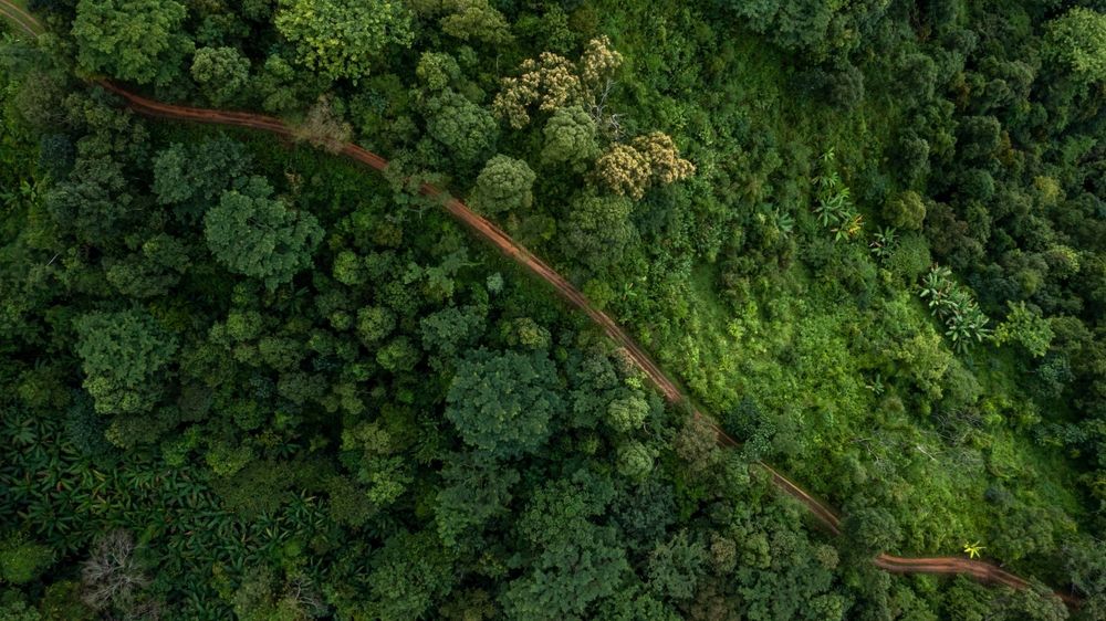 Photo – France and Brazil announce €1 billion investment plan for Amazon