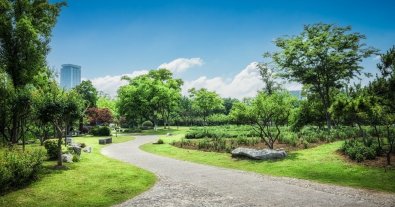 Photo – A new park for internal combustion engines is planned to be built in Kyiv